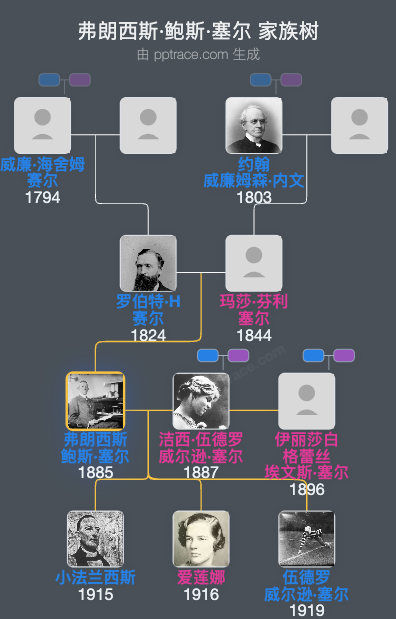 弗朗西斯·鲍斯·塞尔家族树全览