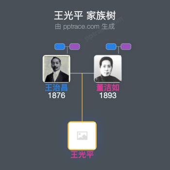 王光平 家族树全览
