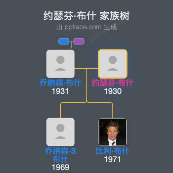 约瑟芬·布什家族树全览