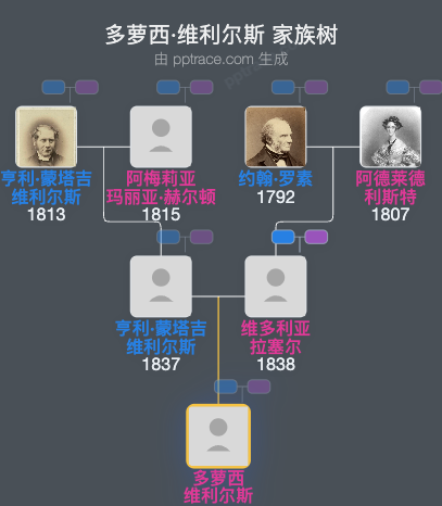 多萝西·维利尔斯家族树全览