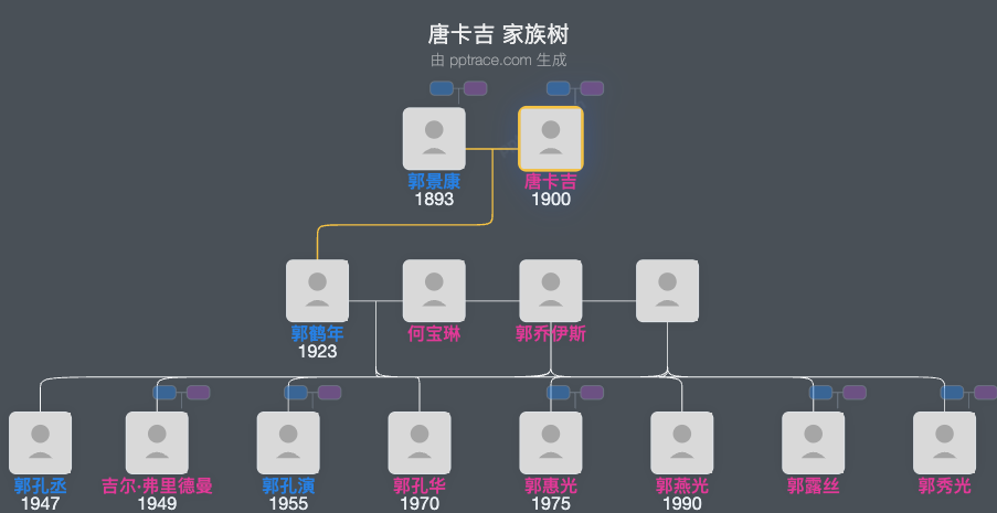 唐卡吉 家族树全览