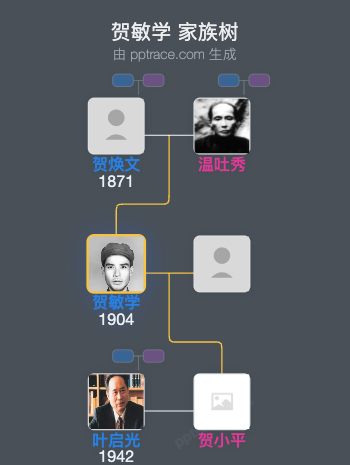 贺敏学 家族树全览
