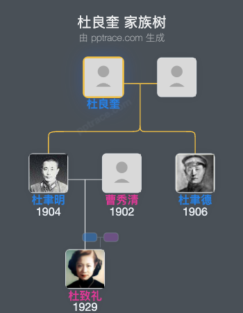 杜良奎家族树全览