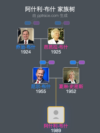 阿什利·布什家族树全览