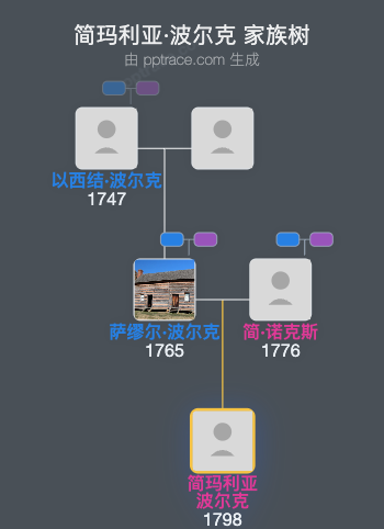 简玛利亚·波尔克家族树全览