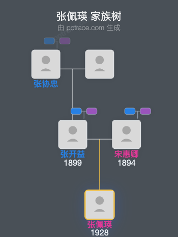张佩瑛 家族树全览