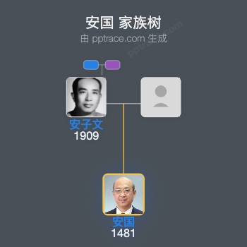 安国 家族树全览