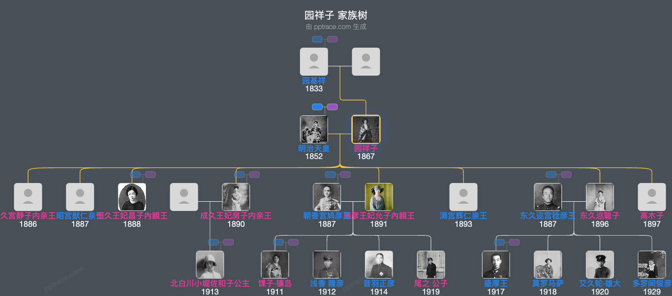 园祥子家族树全览