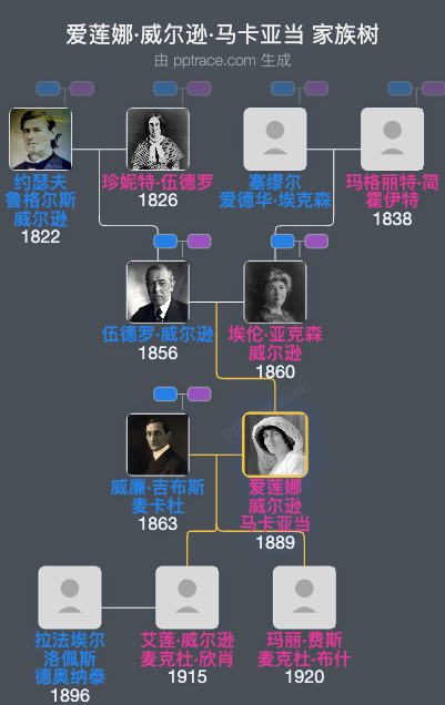 爱莲娜·威尔逊·马卡亚当家族树全览