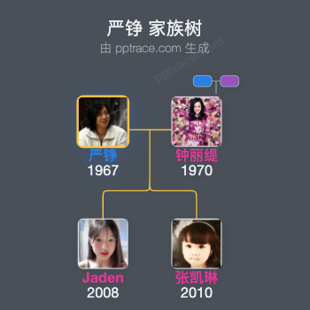 严铮家族树全览