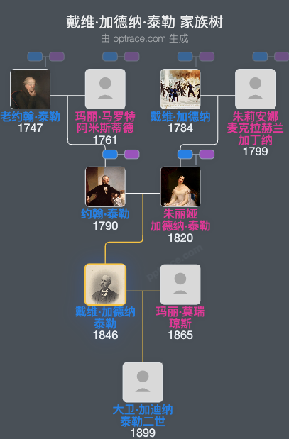 戴维·加德纳·泰勒家族树全览