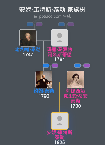 安妮·康特斯·泰勒家族树全览