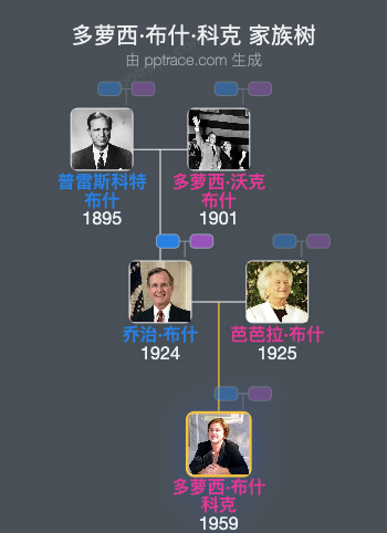 多萝西·布什·科克 家族树全览