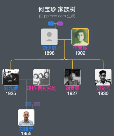 何宝珍 家族树全览
