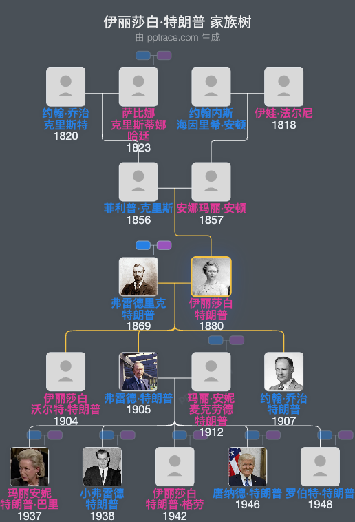 伊丽莎白·特朗普家族树全览