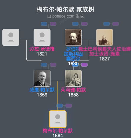 梅布尔·帕尔默家族树全览