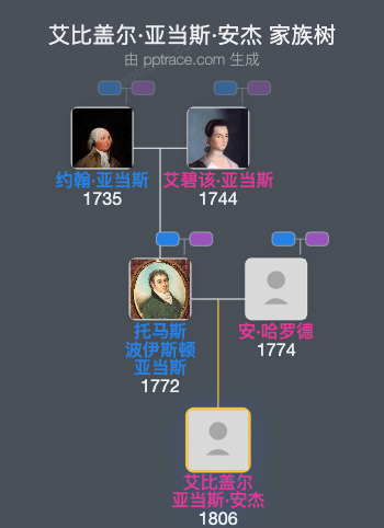 艾比盖尔·亚当斯·安杰家族树全览