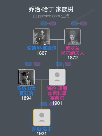 乔治·哈丁，第三代汉丁勋爵家族树全览