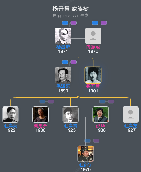 杨开慧 家族树全览