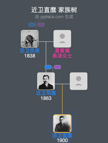 近卫直麿家族树全览