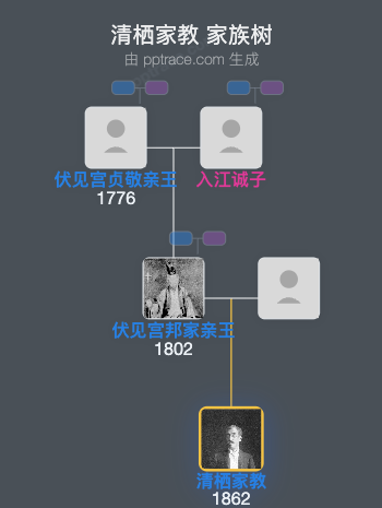 清栖家教家族树全览
