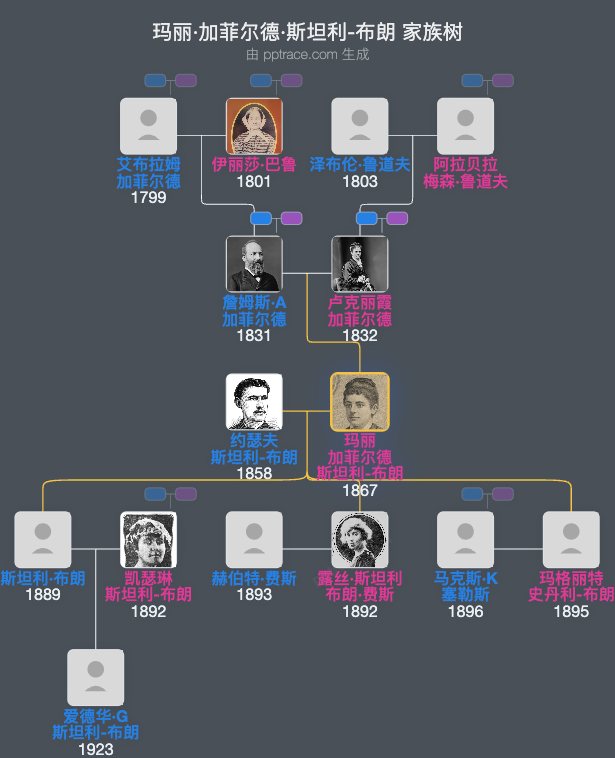 玛丽·加菲尔德·斯坦利-布朗家族树全览