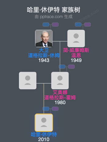 哈里·休伊特家族树全览