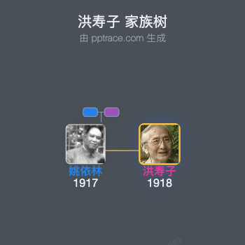 洪寿子 家族树全览