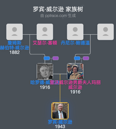 罗宾·威尔逊家族树全览