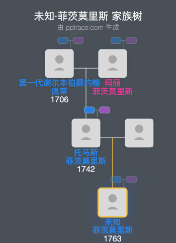 未知·菲茨莫里斯家族树全览