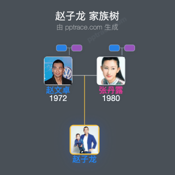 赵子龙 家族树全览
