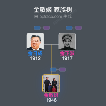 金敬姬 家族树全览