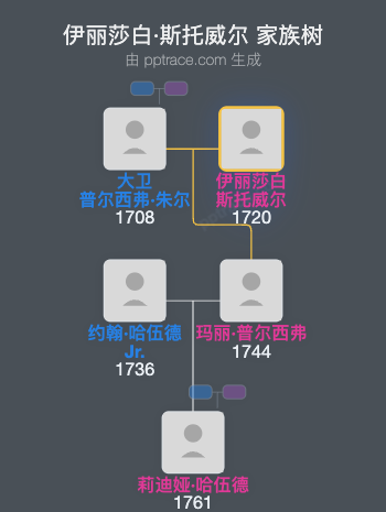 伊丽莎白·斯托威尔家族树全览
