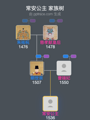 常安公主家族树全览