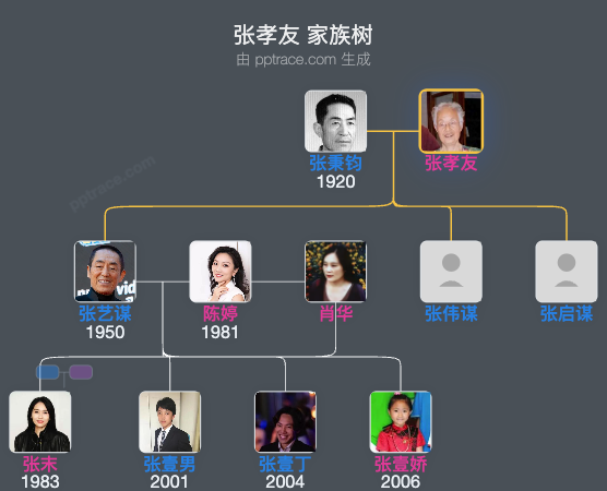 张孝友 家族树全览