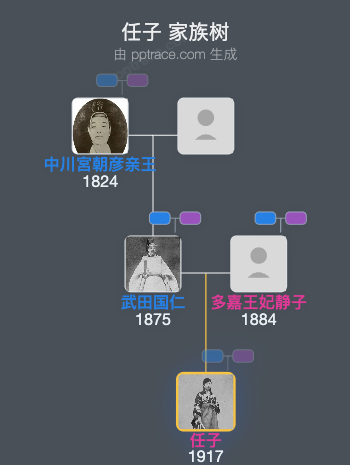 任子家族树全览