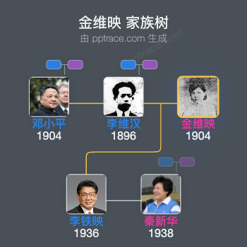 金维映 家族树全览