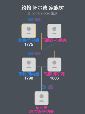 约翰·怀尔德家族树全览