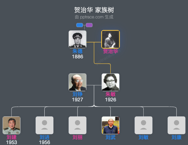 贺治华 家族树全览