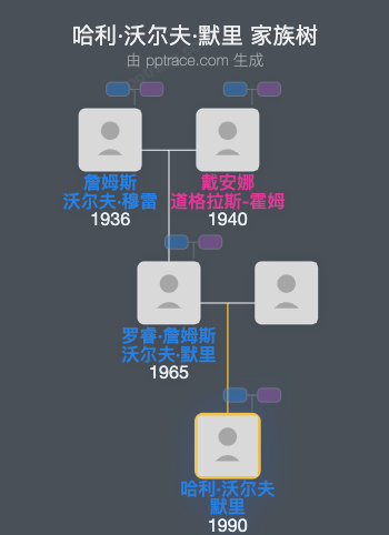 哈利·沃尔夫·默里家族树全览