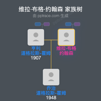 维拉·布格·约翰森家族树全览