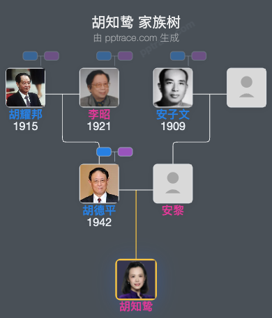 胡知鸷 家族树全览