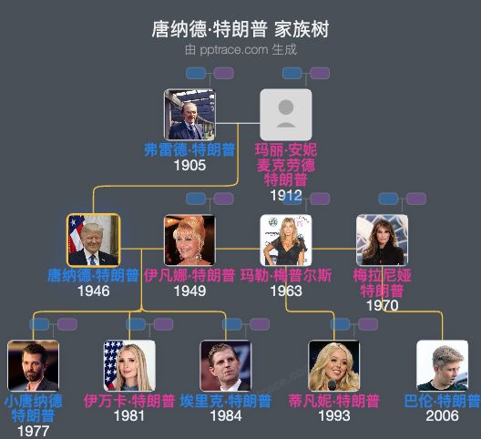 唐纳德·特朗普 家族树全览