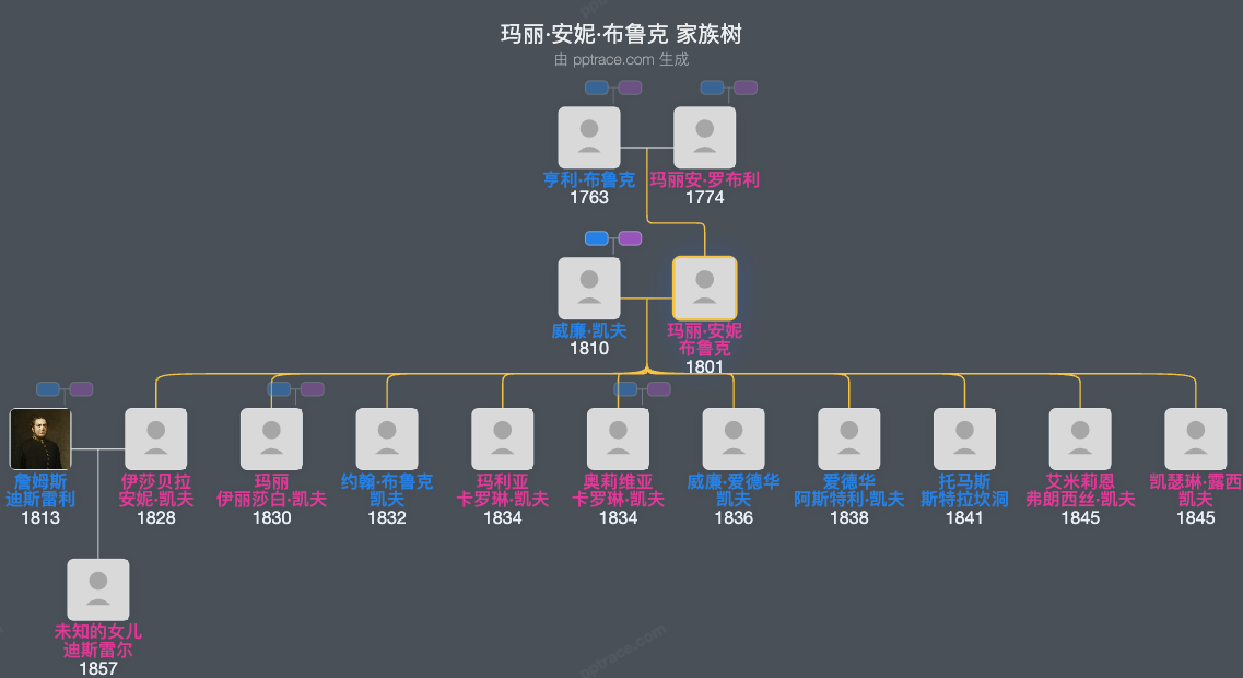 玛丽·安妮·布鲁克家族树全览