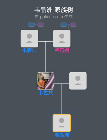 韦晶洲家族树全览