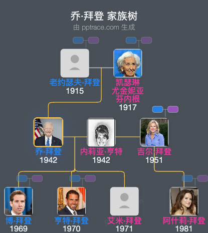 乔·拜登 家族树全览