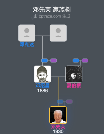 邓先芙 家族树全览