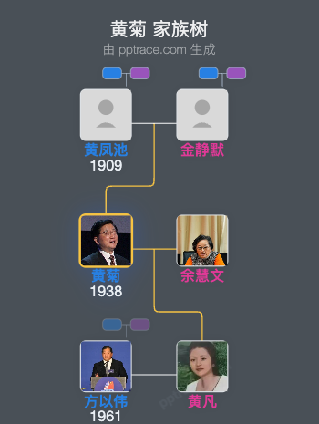 黄菊 家族树全览