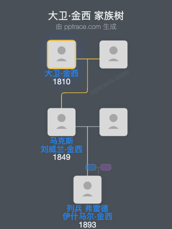 大卫·金西家族树全览