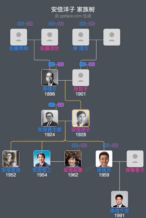 安倍洋子家族树全览